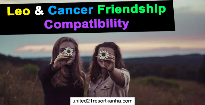Leo And Cancer Friendship Compatibility Featured 