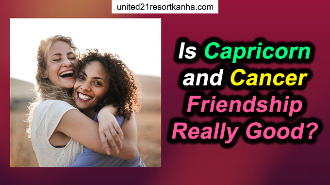 The Friendship Compatibility Of Capricorn And Cancer 01 